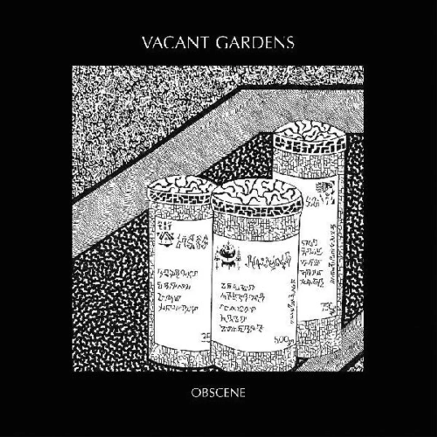 Vacant Gardens Obscene Vinyl Record