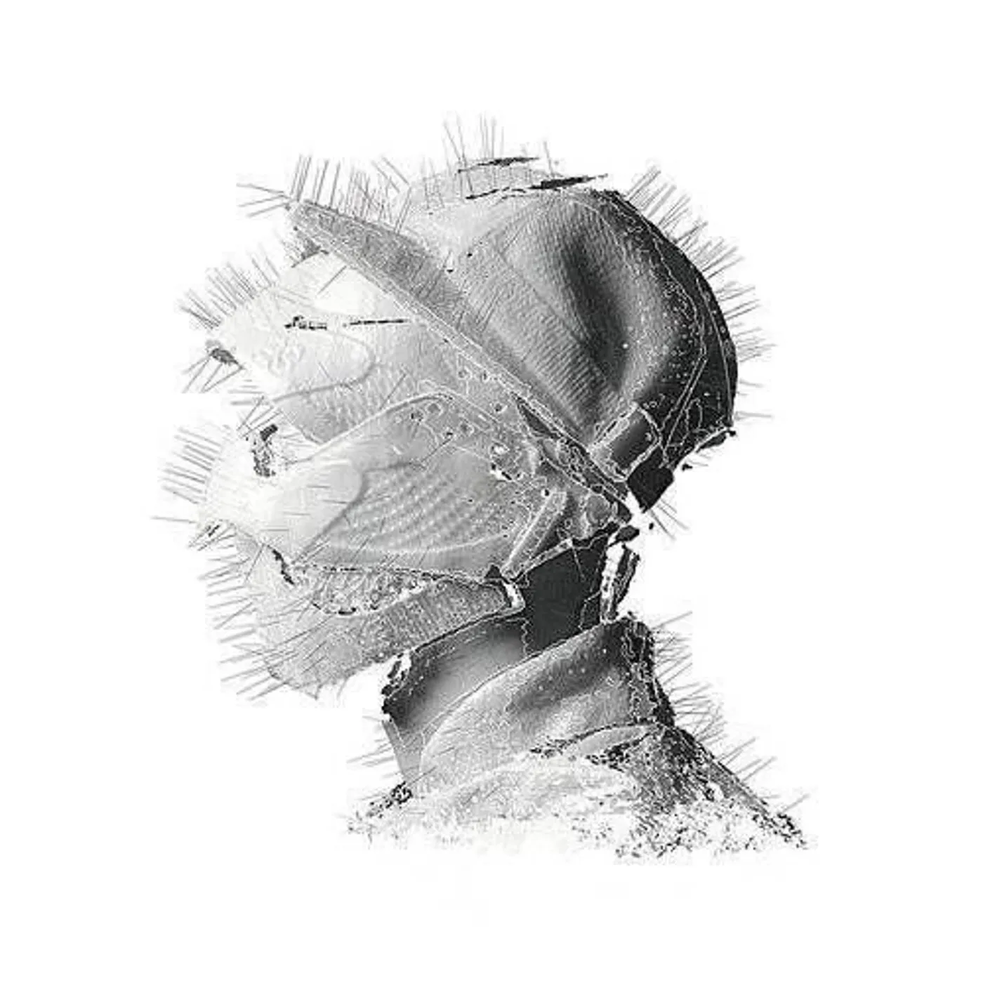 Woodkid Golden Age vinyl record