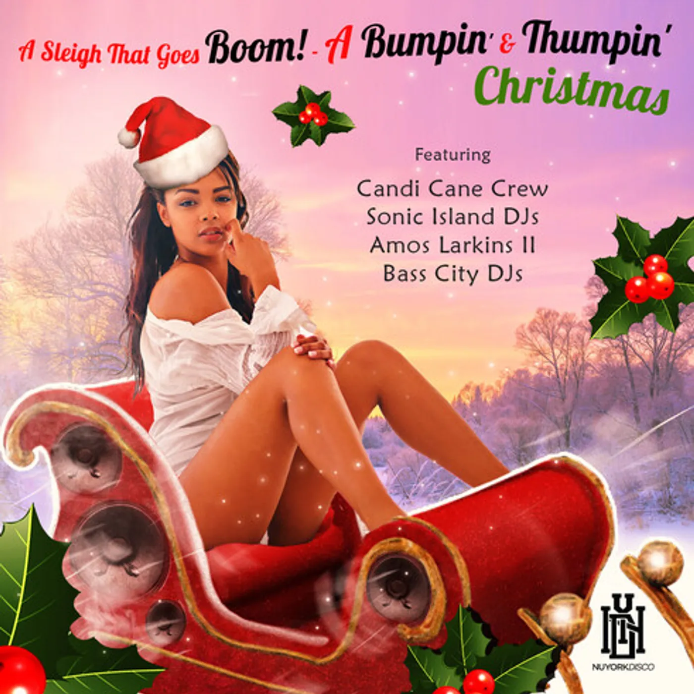 Various Artists  SLEIGH THAT GOES BOOM! - A BUMPIN' & THUMPIN' CHRI CD