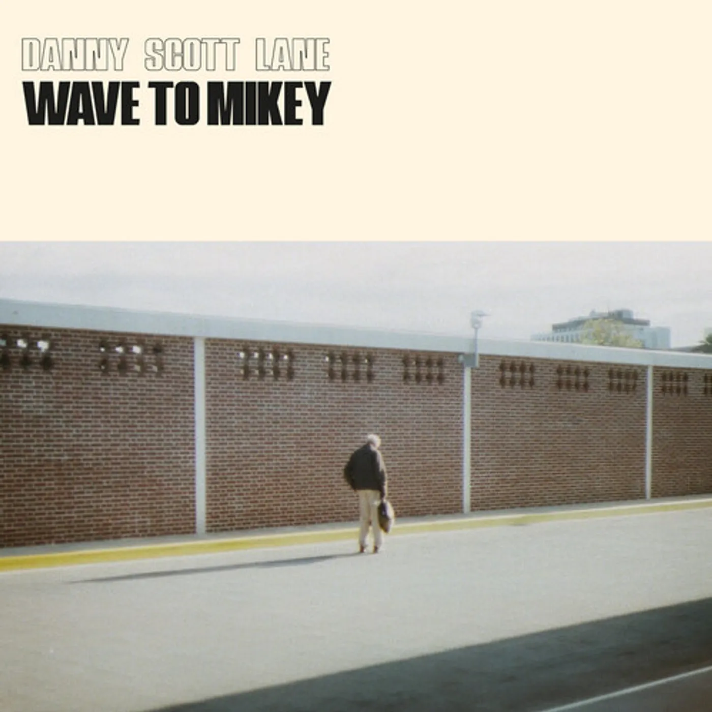 Danny Scott Lane WAVE TO MICKEY Vinyl Record