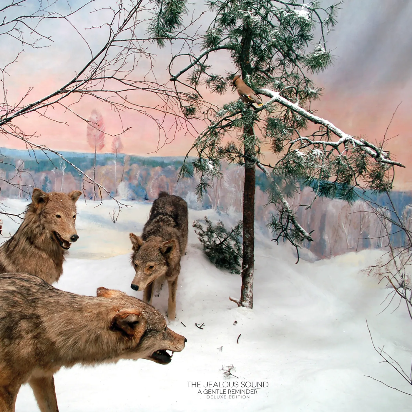 The Jealous Sound 43542 GENTLE REMINDER DELUXE EDITION CD