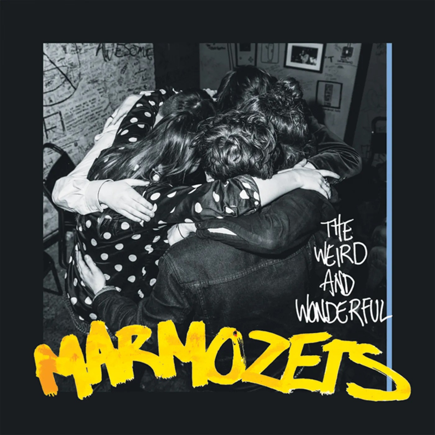 WEIRD & WONDERFUL MARMOZETS CD