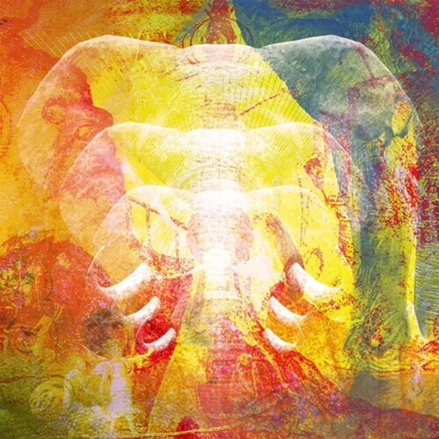 Join The Din ELEPHANTS IN AUTUMN RAGE CD