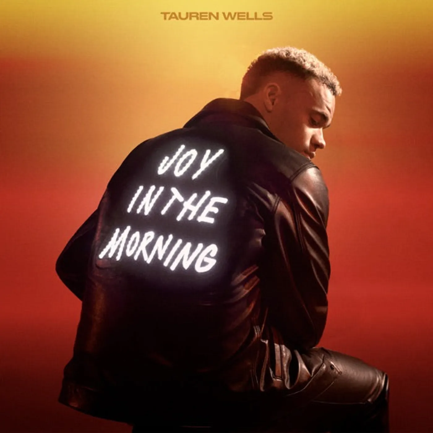 Tauren Wells Joy In The Morning Vinyl Record