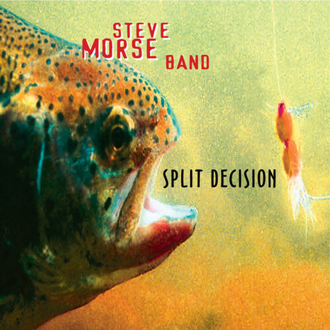 Steve Morse Band SPLIT DECISION CD