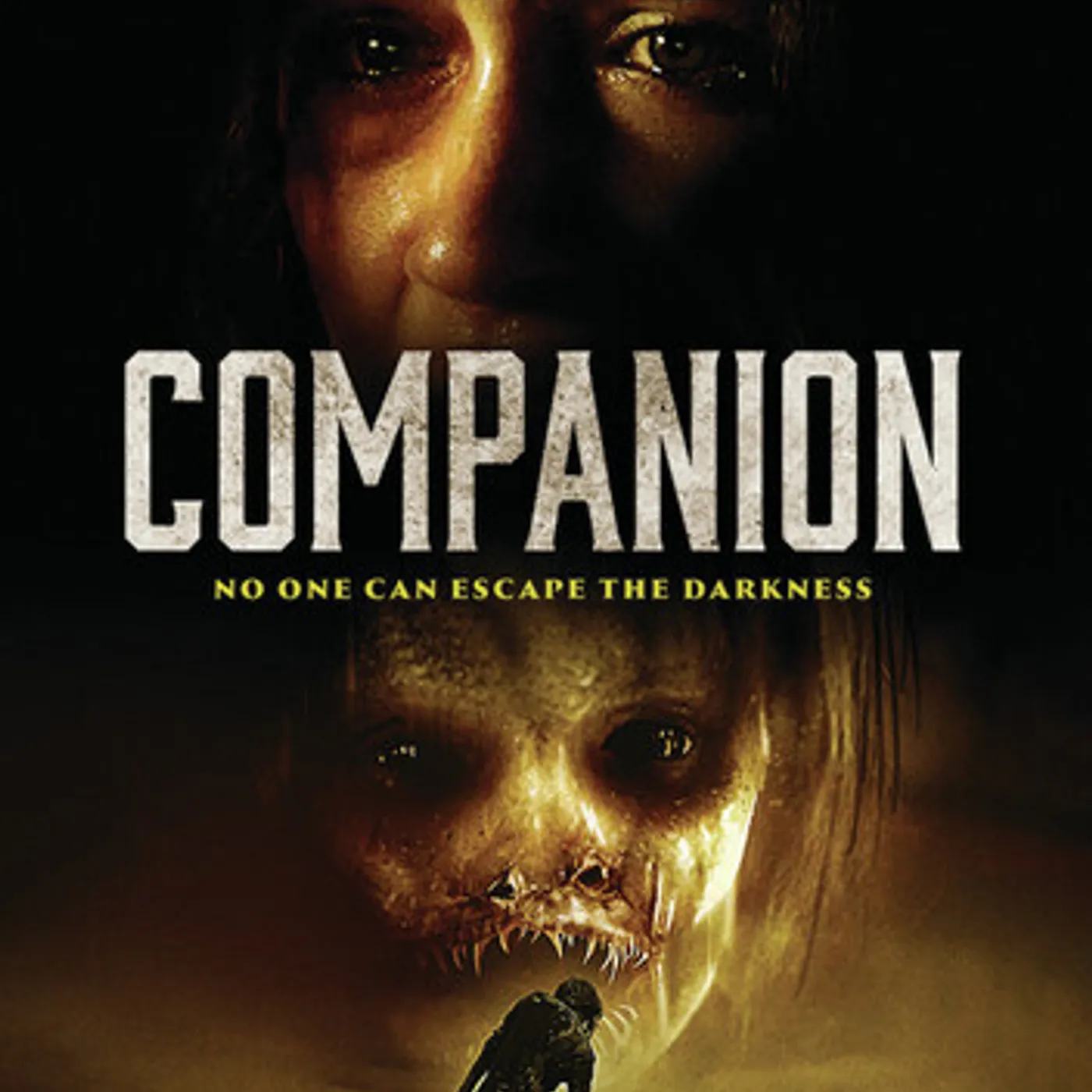 Companion DVD