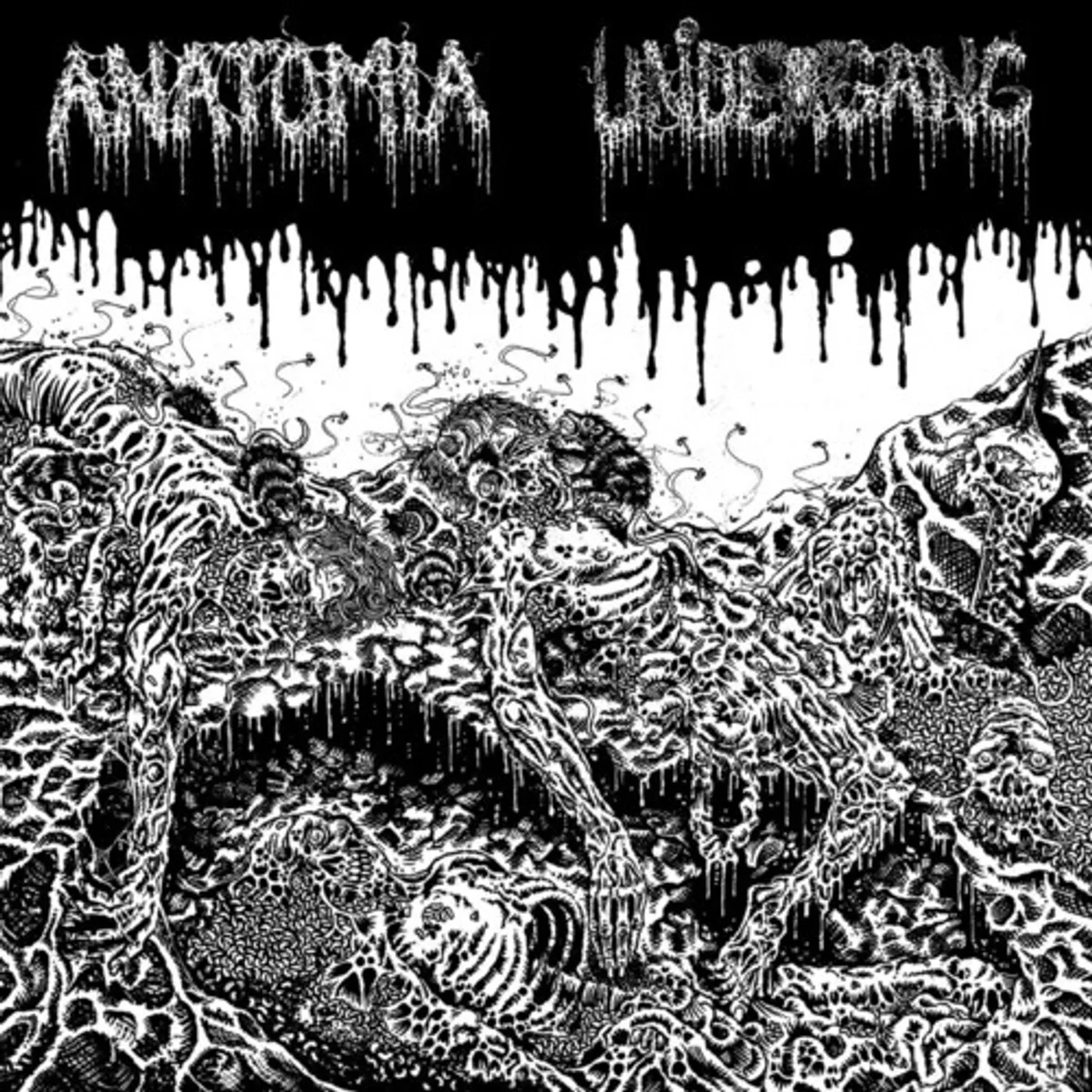 Undergang / Anatomia SPLIT Vinyl Record