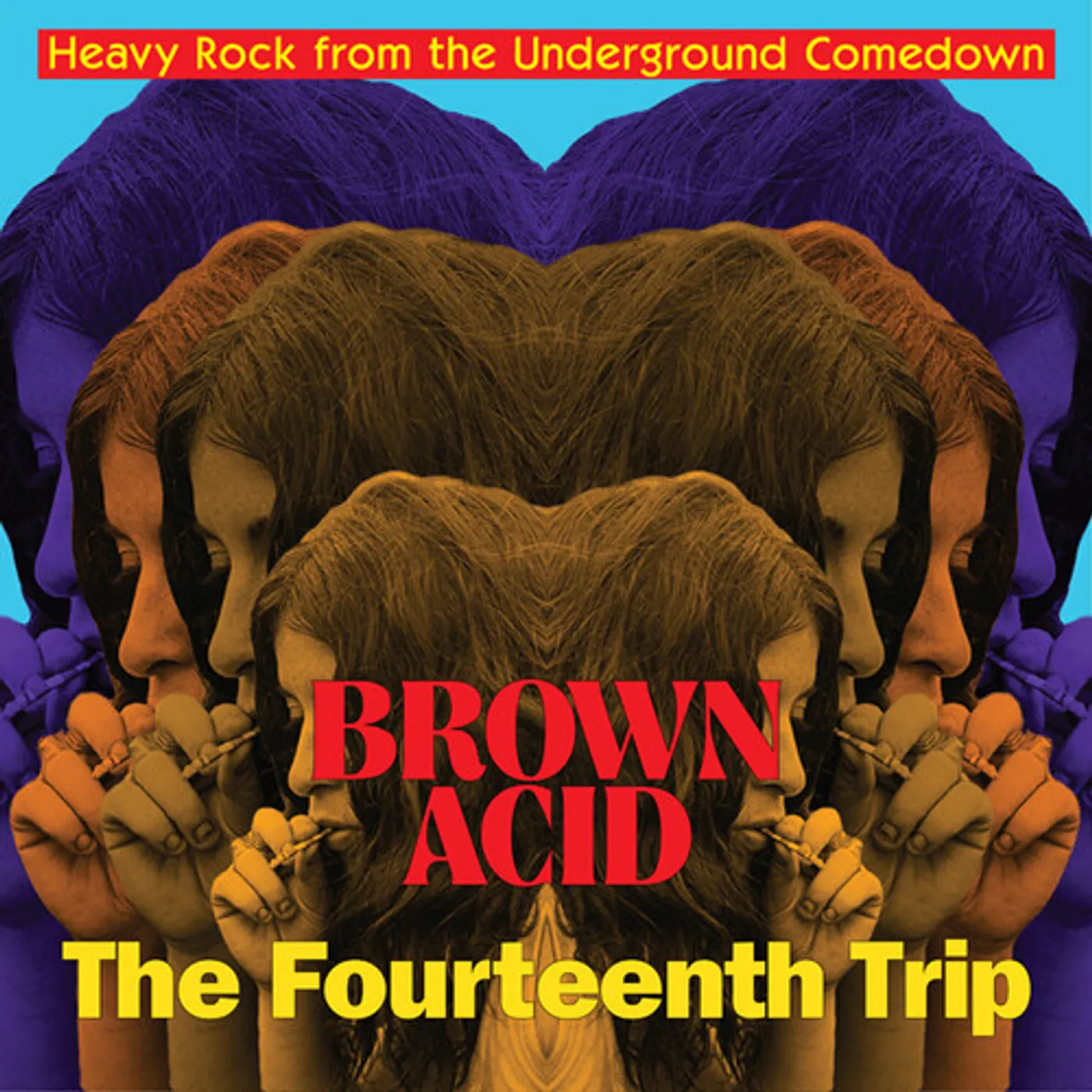 Various Artists  BROWN ACID: THE FOURTEENTH TRIP CD