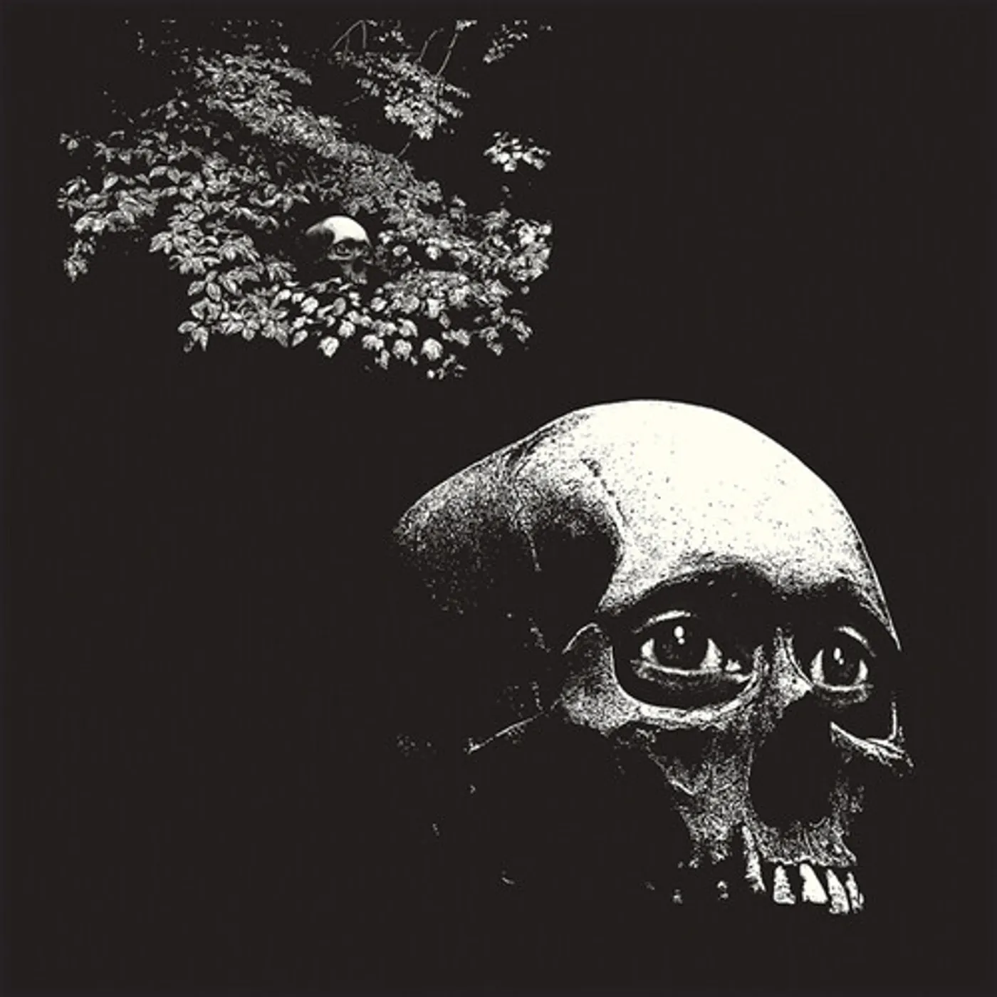 Osees FOUL FORM CD