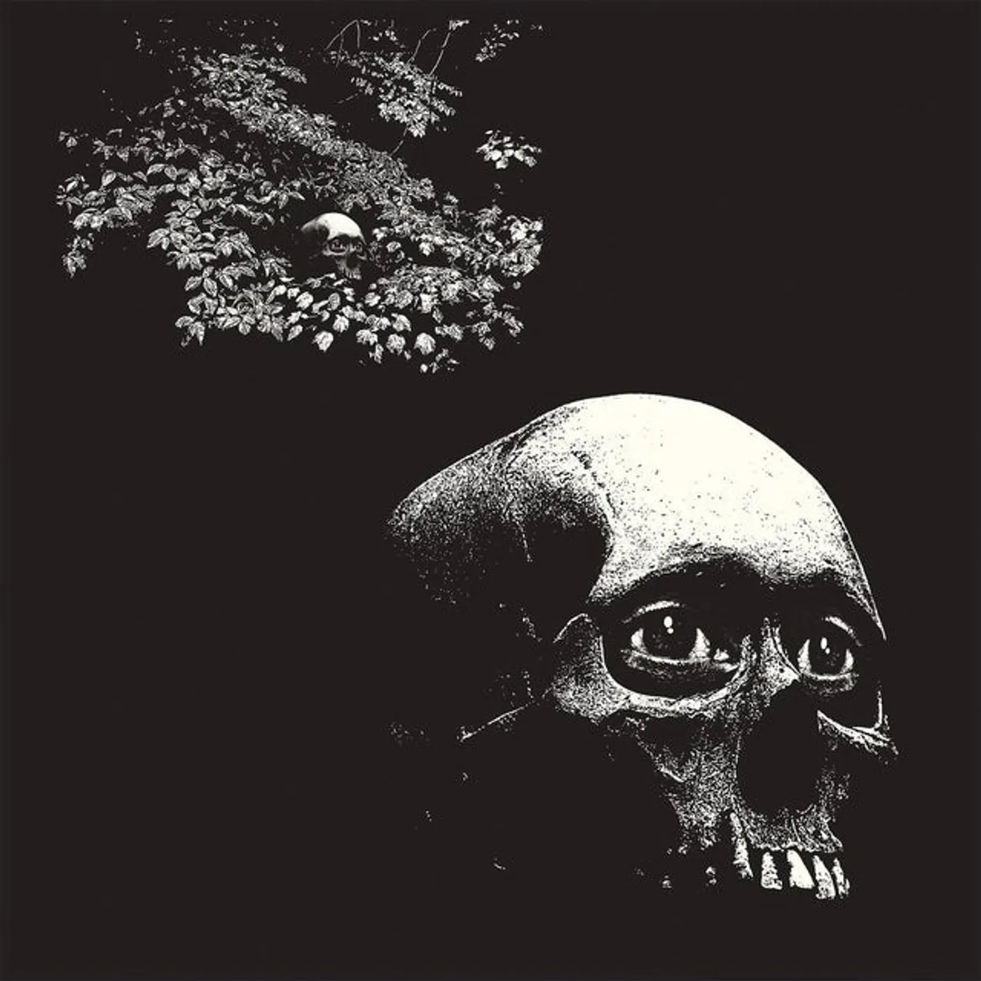 Osees Foul Form vinyl record