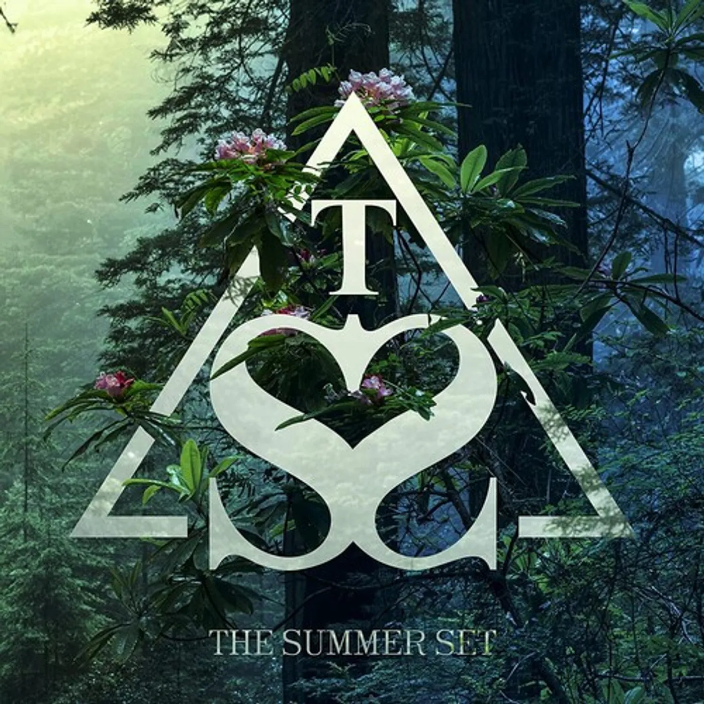 The Summer Set Boomerang Vinyl Record