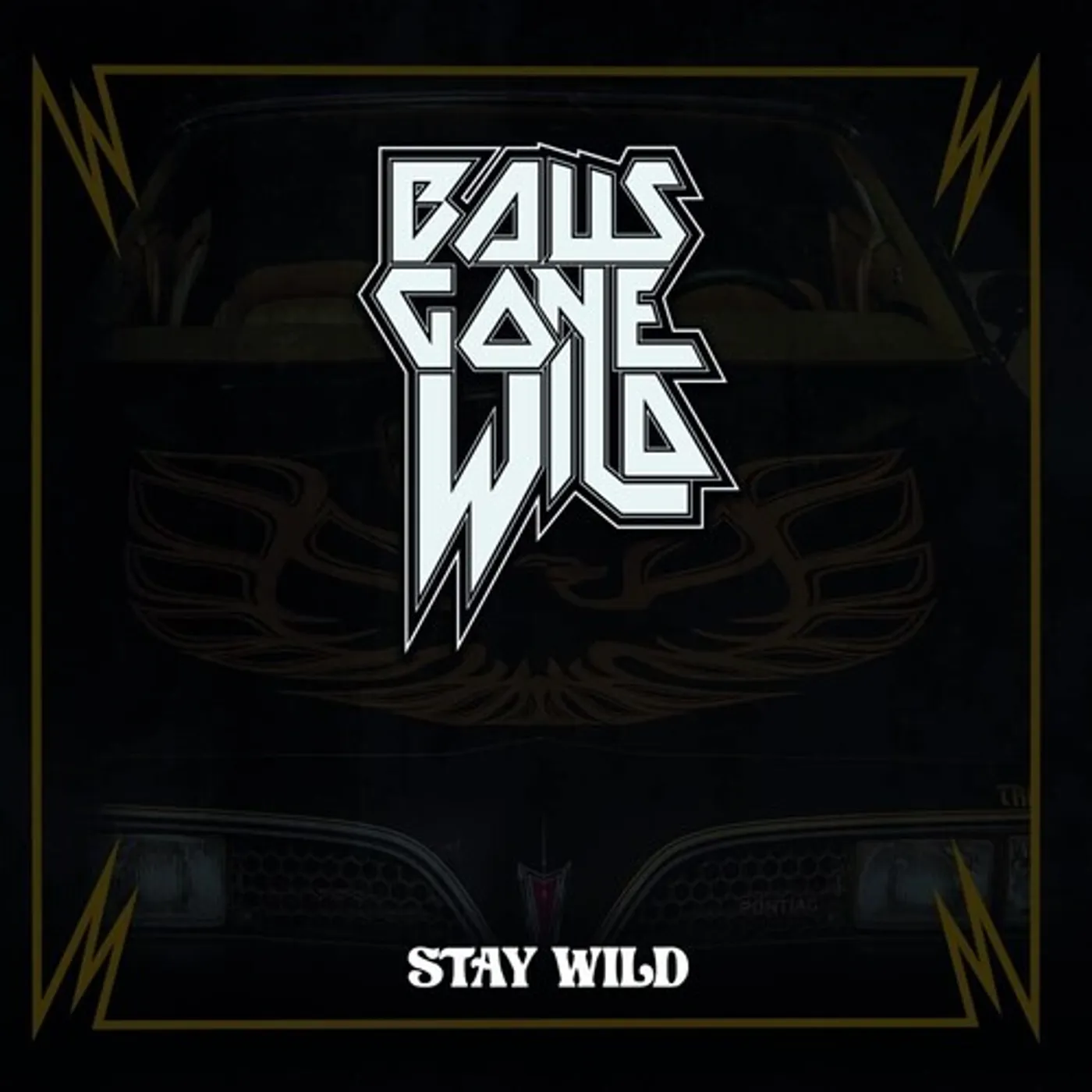 Balls Gone Wild Stay Wild Vinyl Record