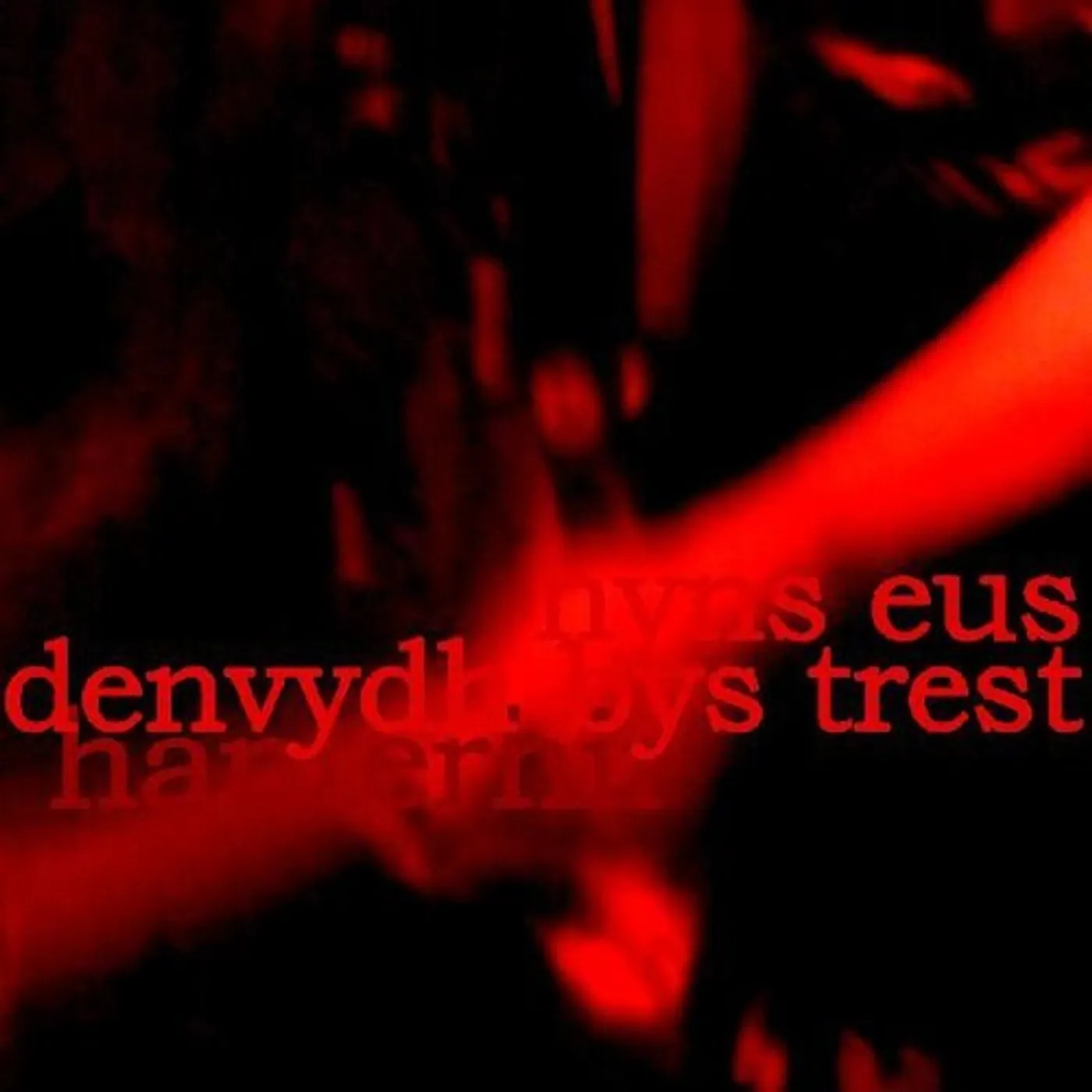 Hanterhir THERE IS NO ONE TO TRUST (NYNS EUS DENVYDTH BYS TREST) (LP/CD) Vinyl Record
