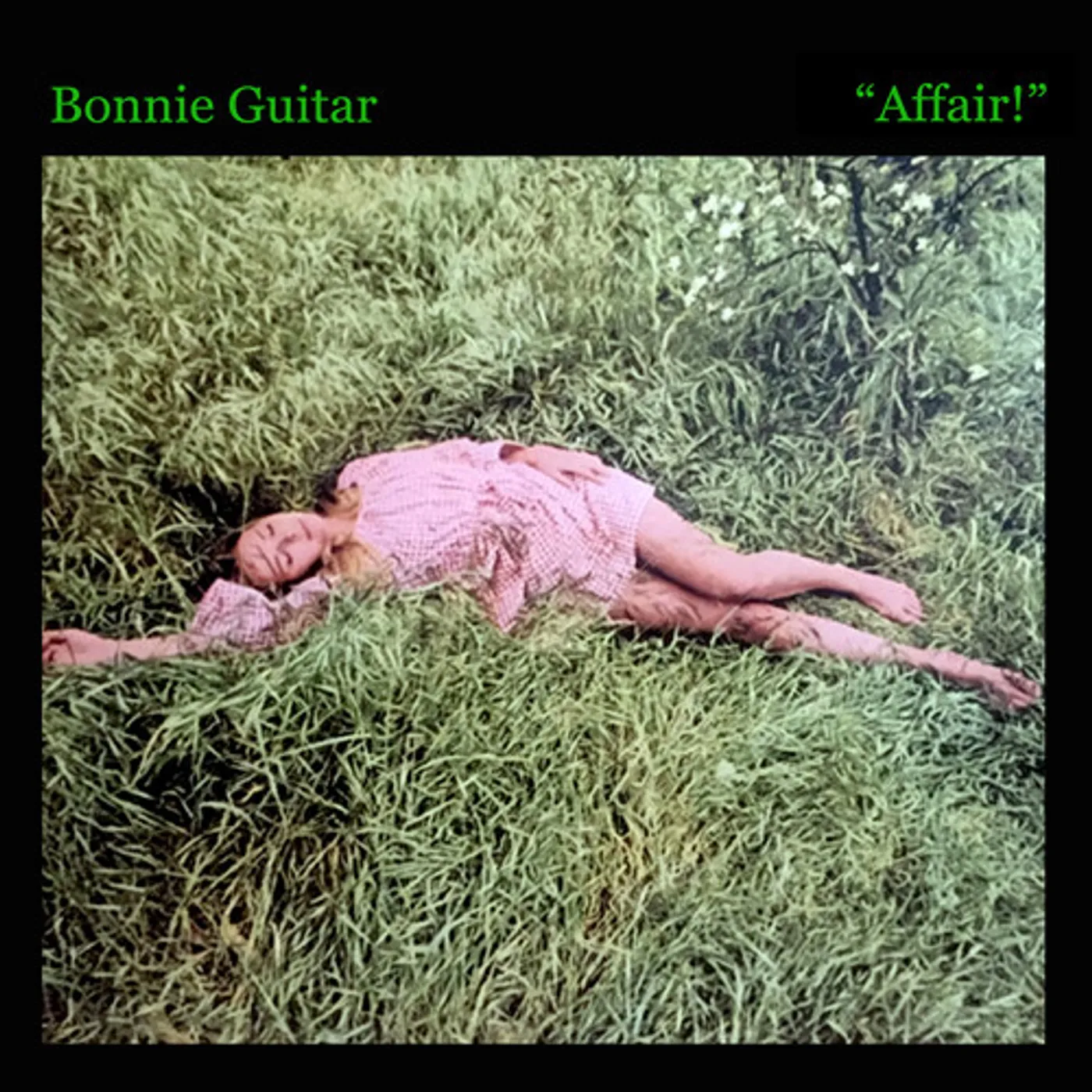 Bonnie Guitar AFFAIR CD