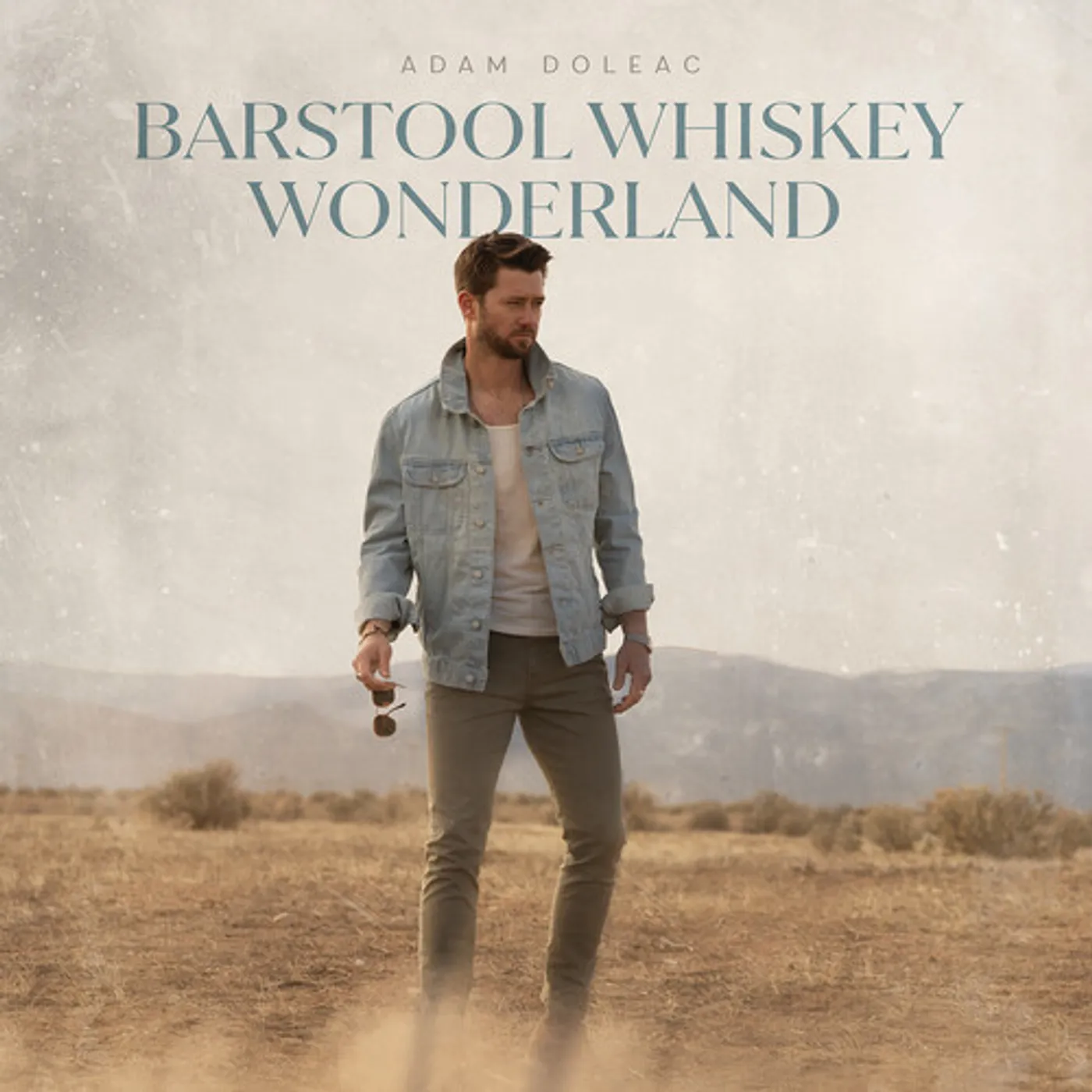 Adam Doleac BARSTOOL WHISKEY WONDERLAND CD