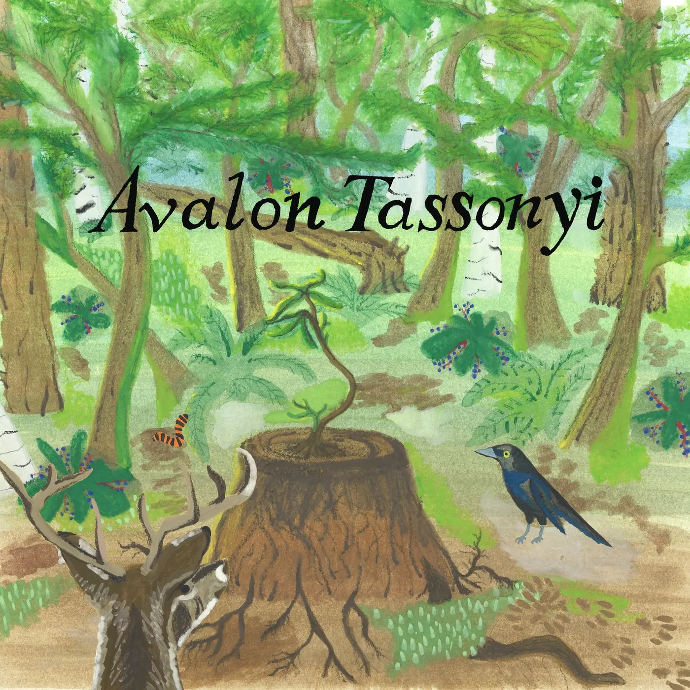 AVALON TASSONYI Vinyl Record