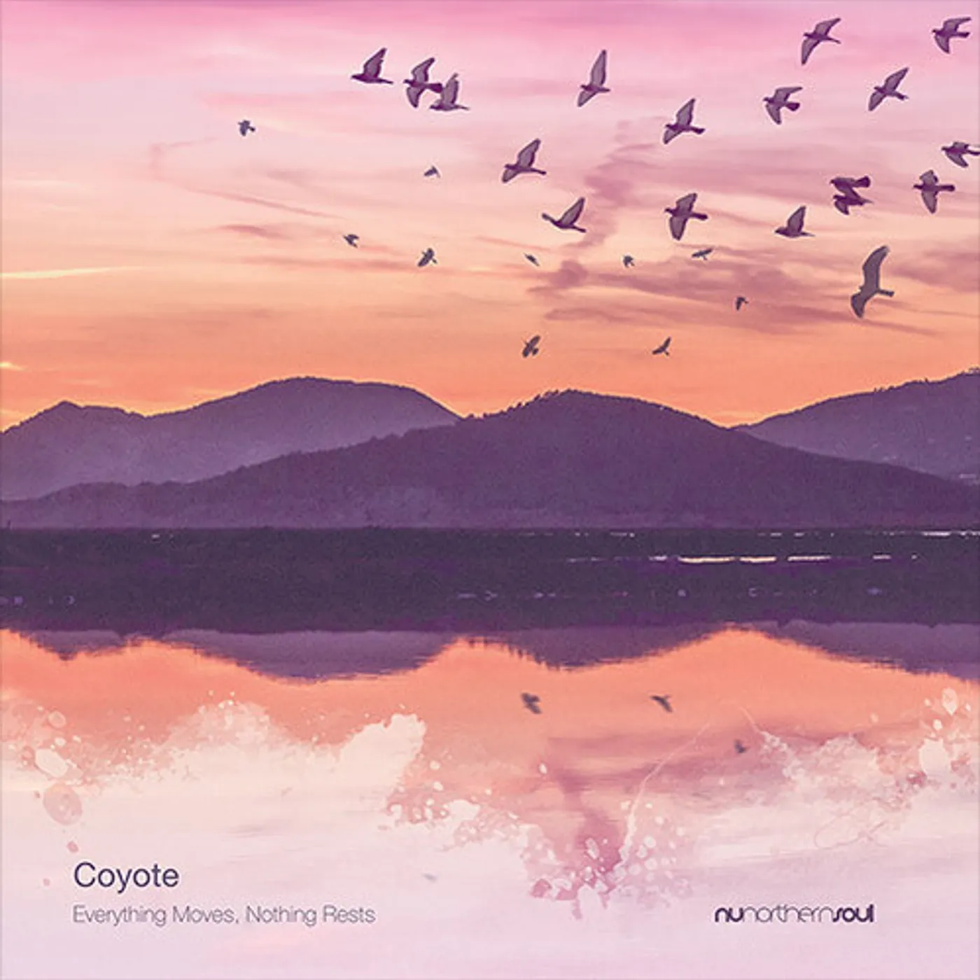 Coyote Everything Moves Nothing Rests Vinyl Record