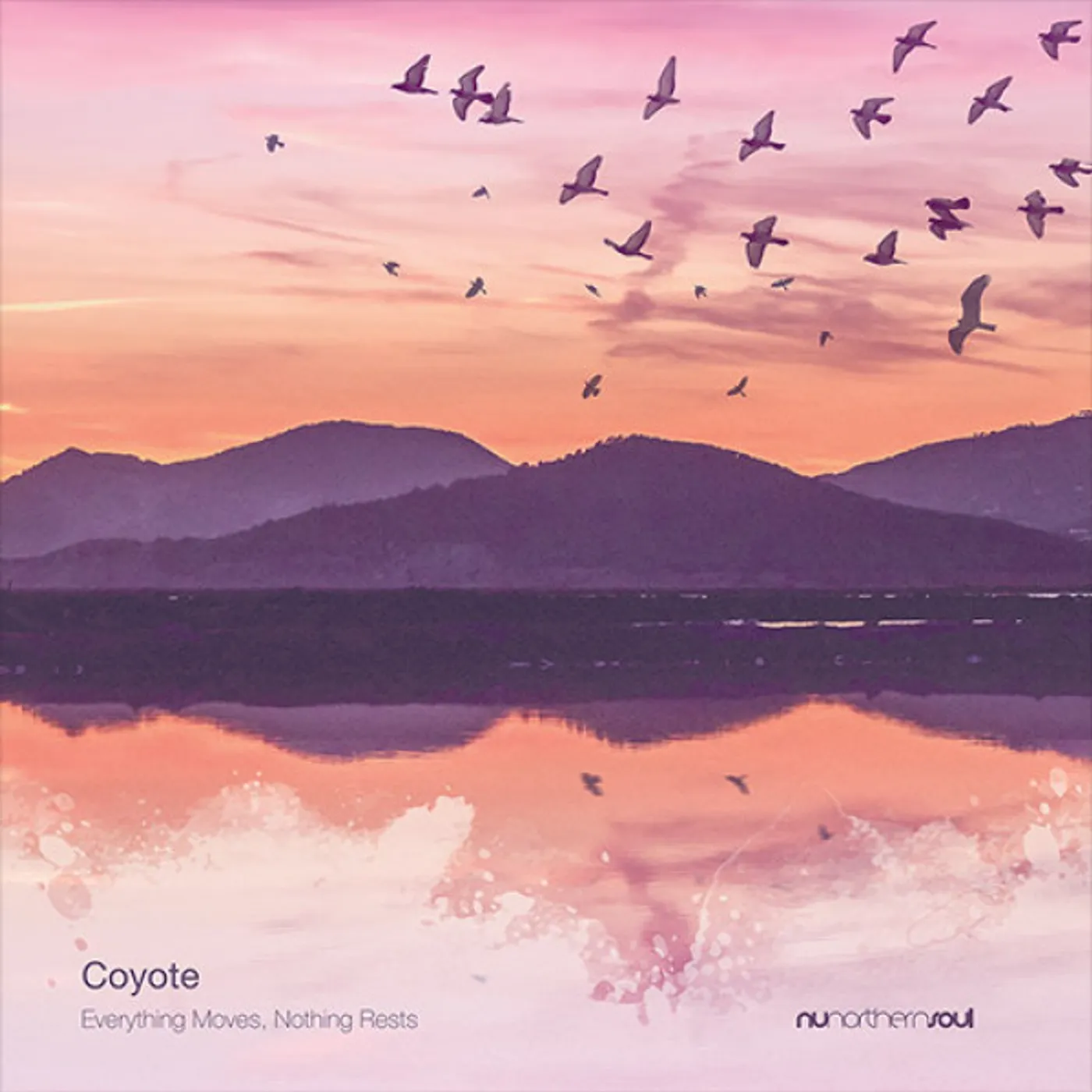 Coyote Everything Moves Nothing Rests Vinyl Record