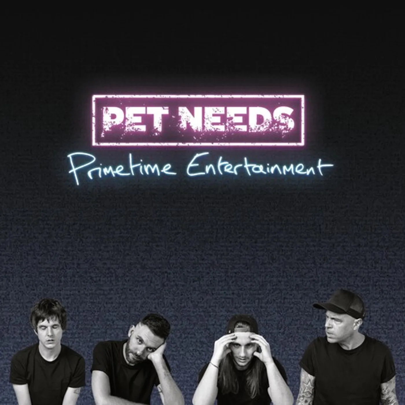 PET NEEDS PRIMETIME ENTERTAINMENT CD