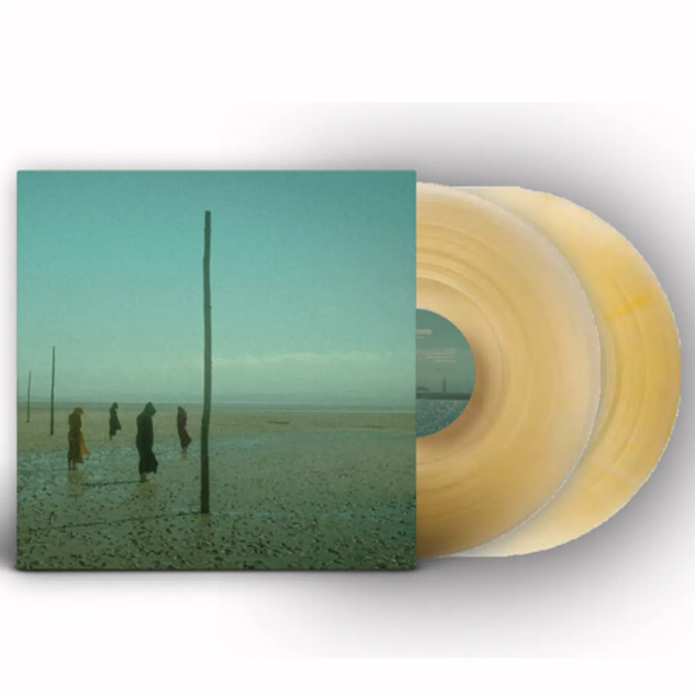 Devils Witches IN ALL HER FORMS - GOLD/CLEAR MARBLED Vinyl Record