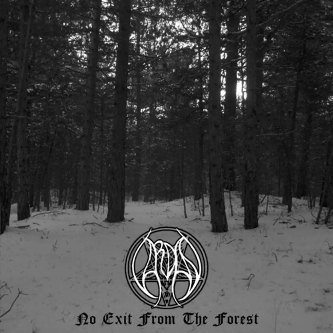 Vardan NO EXIT FROM THE FOREST CD