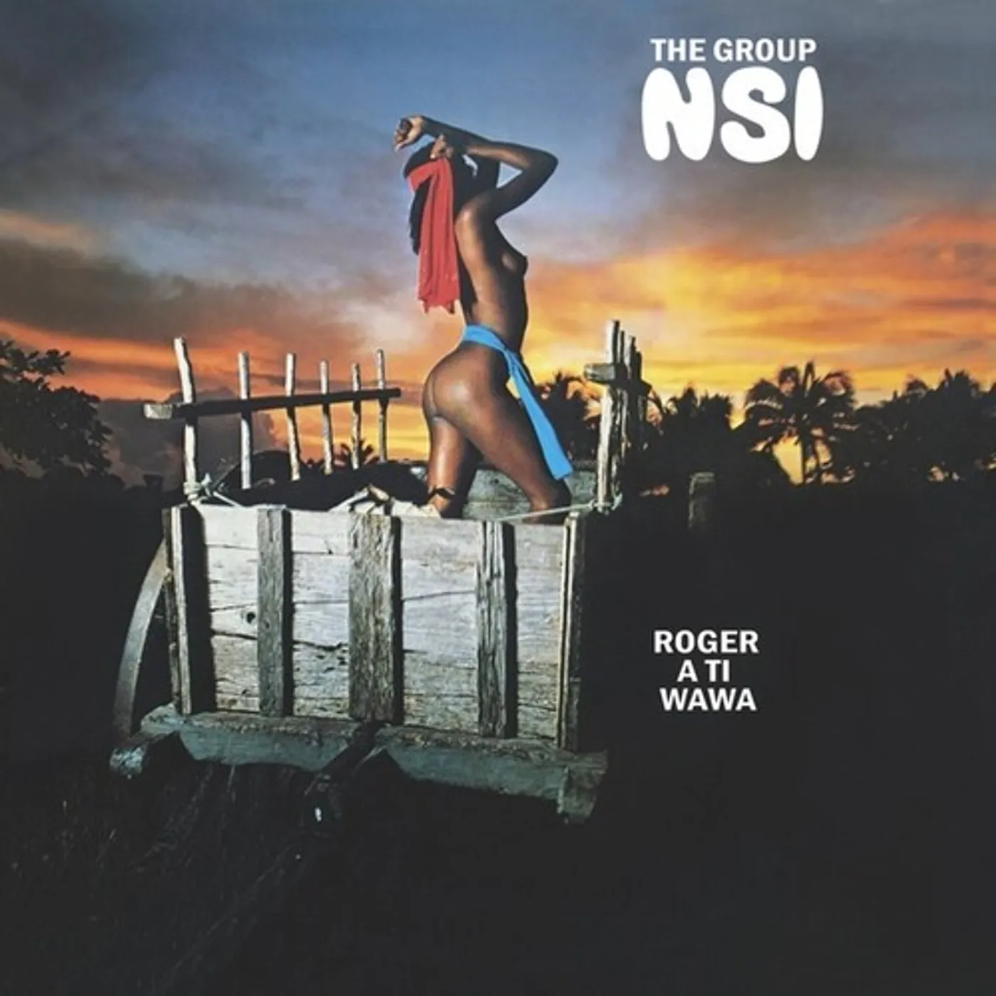 The Group NSI Roger a Ti Wawa Vinyl Record
