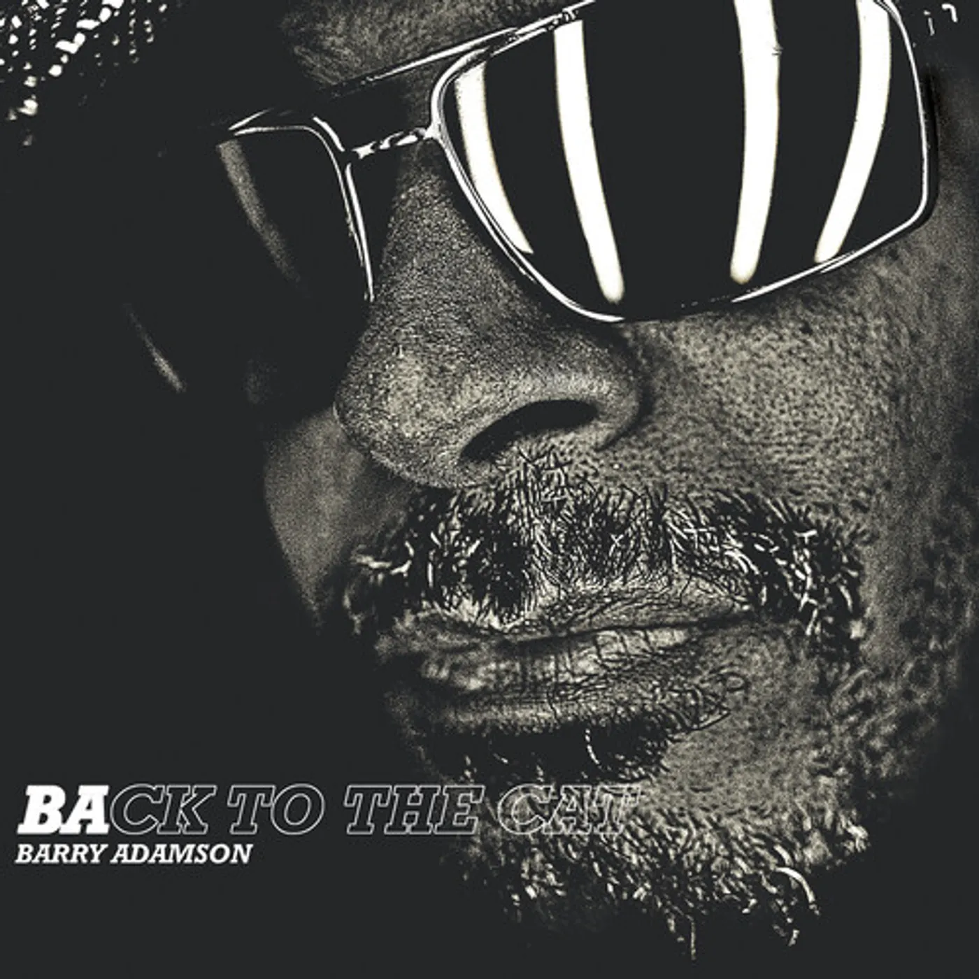 Barry Adamson BACK TO THE CAT CD