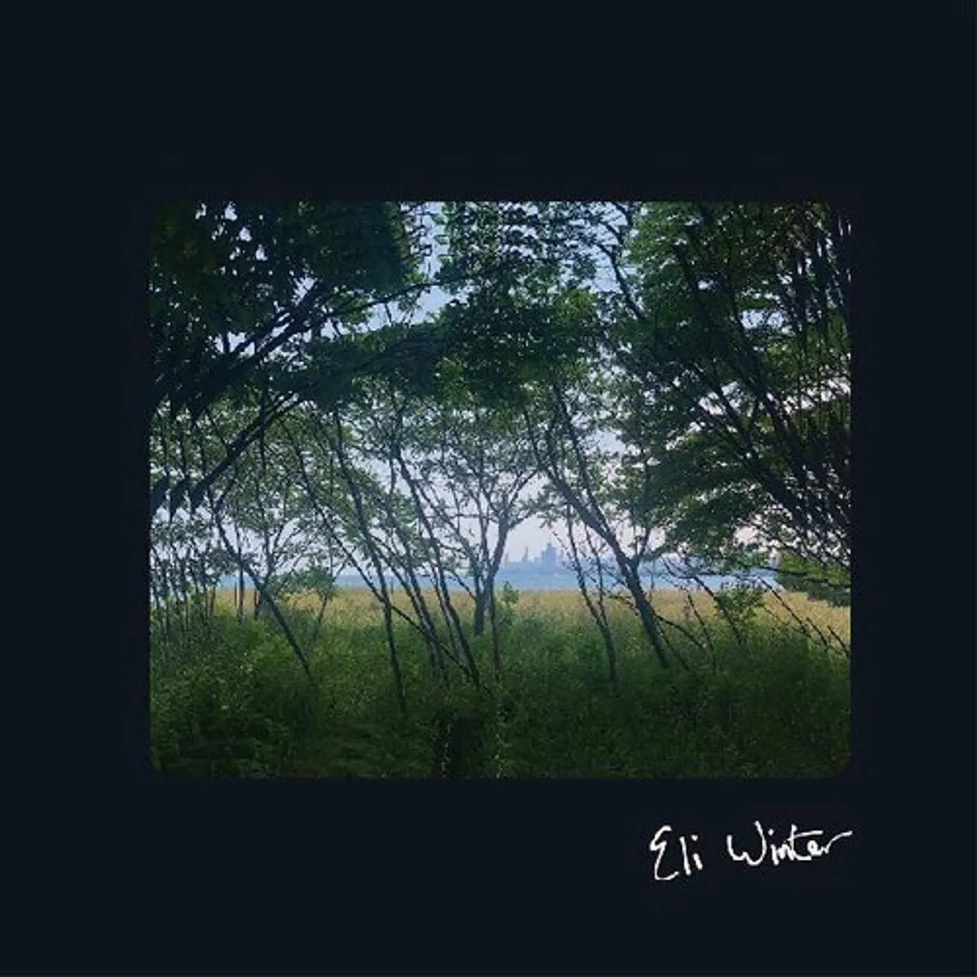 Eli Winter Vinyl Record