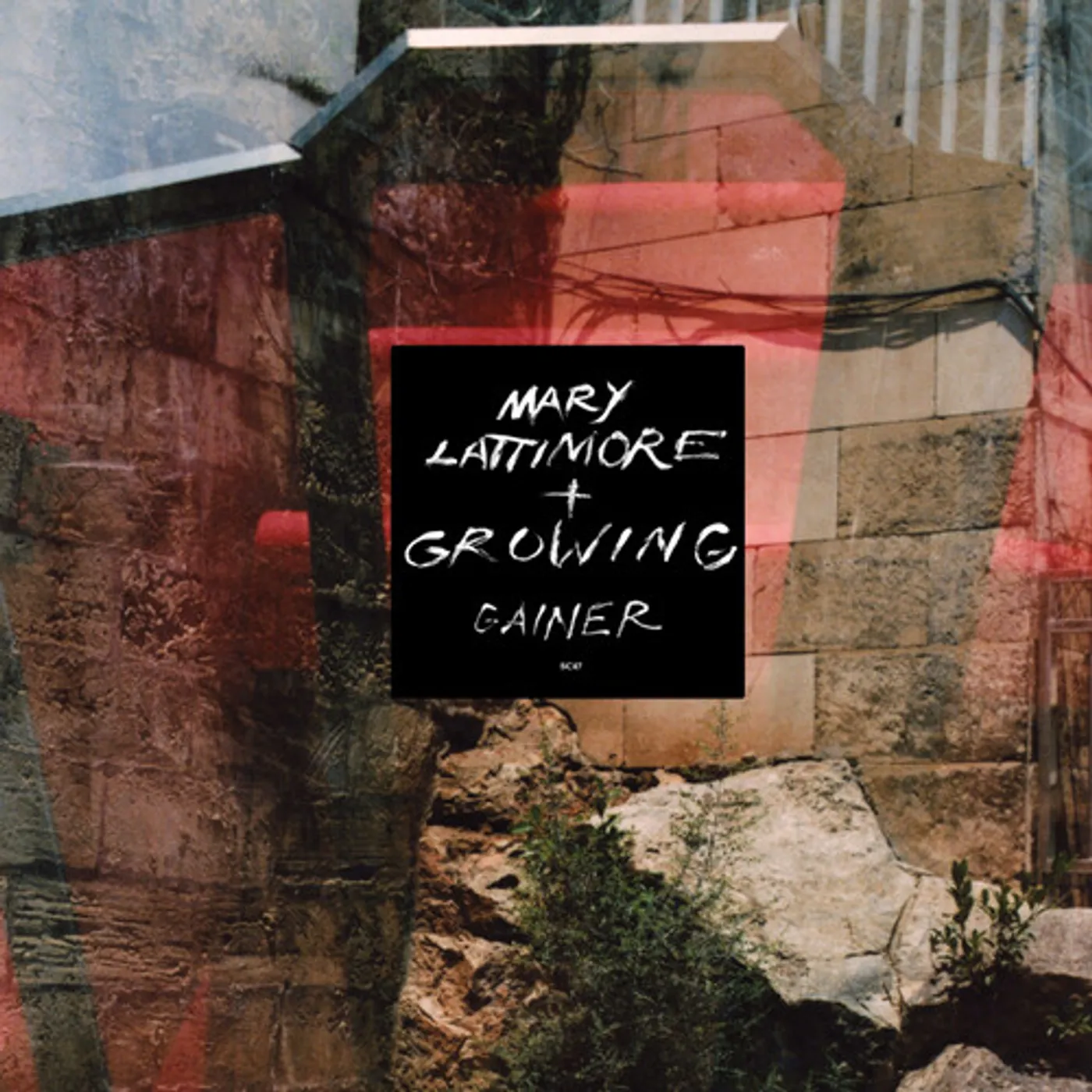 Mary Lattimore & Growing Gainer vinyl record