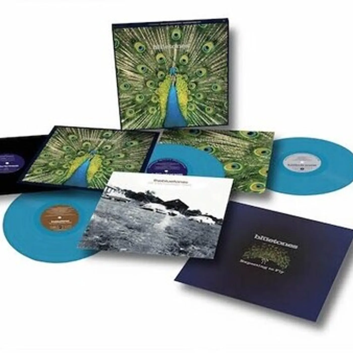 The Bluetones EXPECTING TO FLY: 25TH ANNIVERSARY Vinyl Record