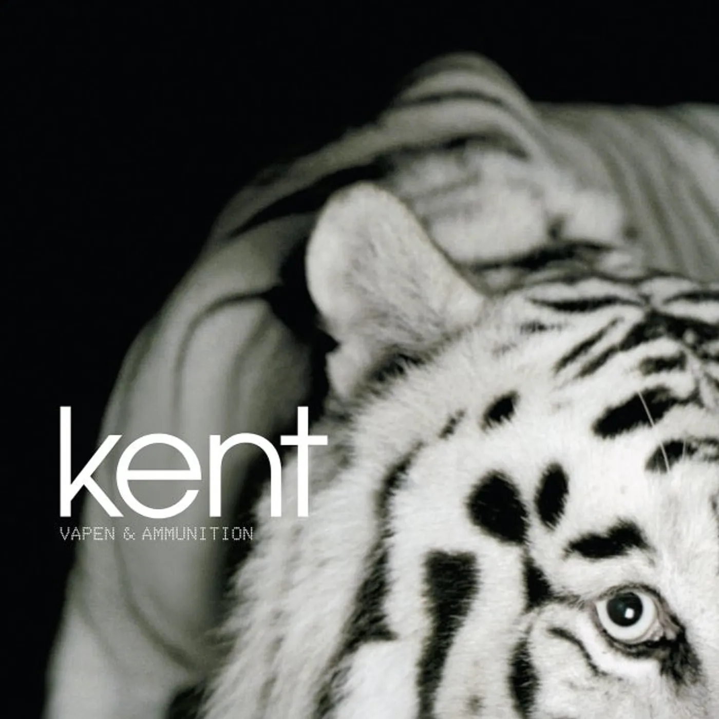 kent Vapen & Ammunition 20 AR Vinyl Record