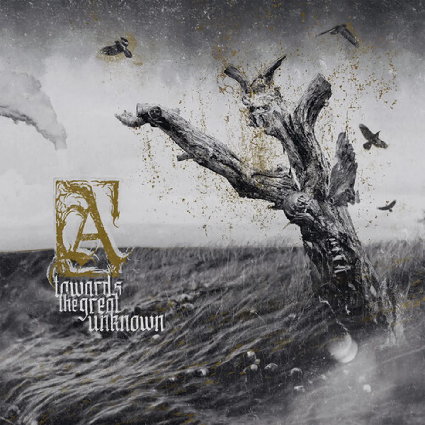 Austere Towards the Great Unknown CD