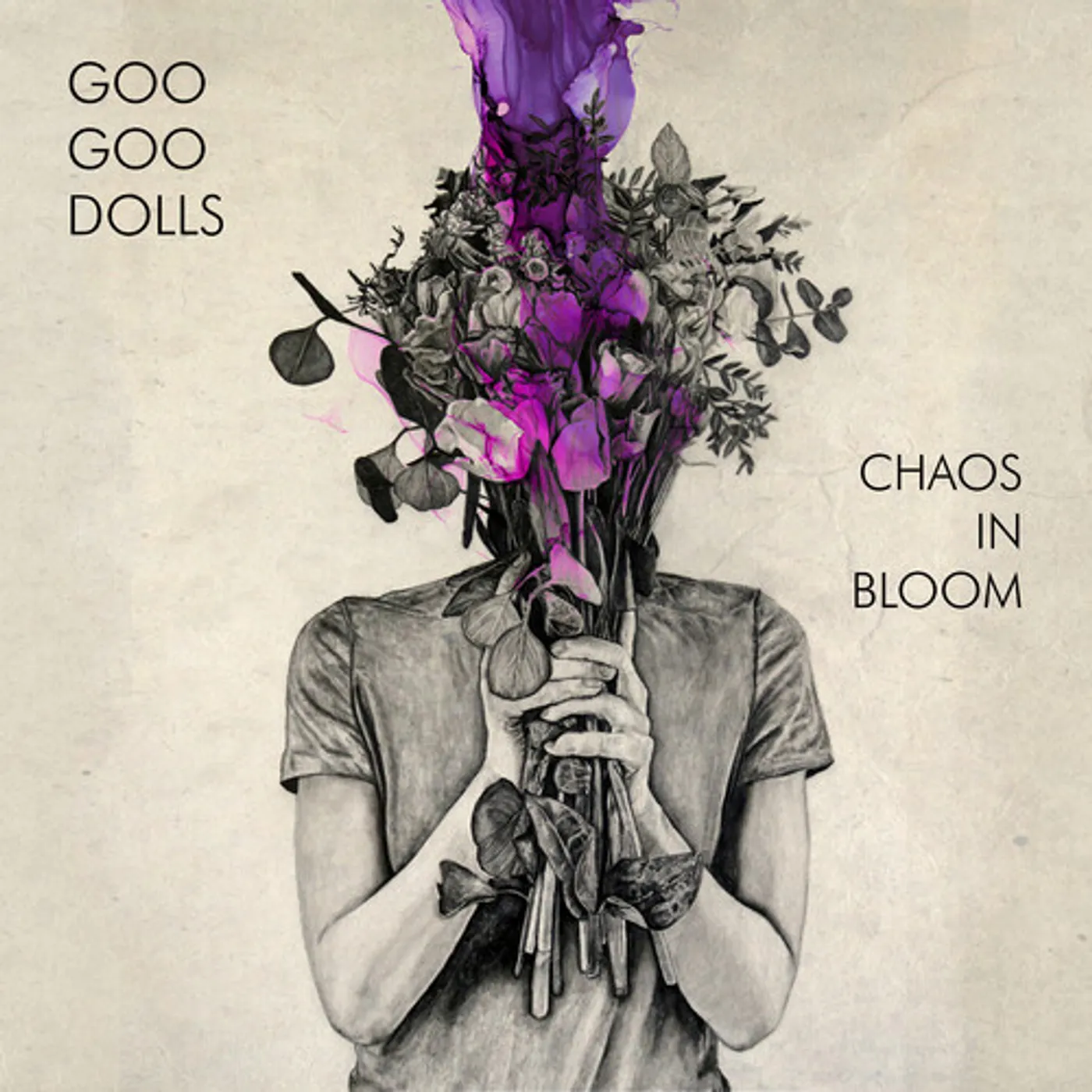The Goo Goo Dolls Chaos In Bloom Vinyl Record