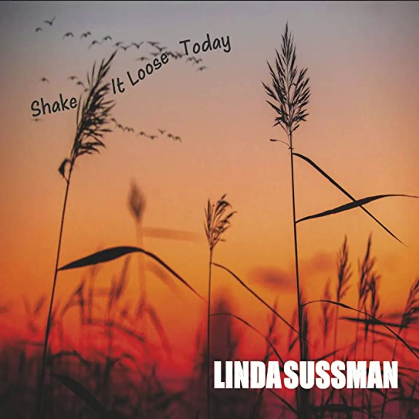Linda Sussman Shake It Loose Today CD