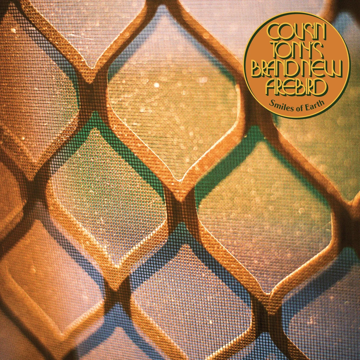 Cousin Tony's Brand New Firebird SMILES OF EARTH Vinyl Record