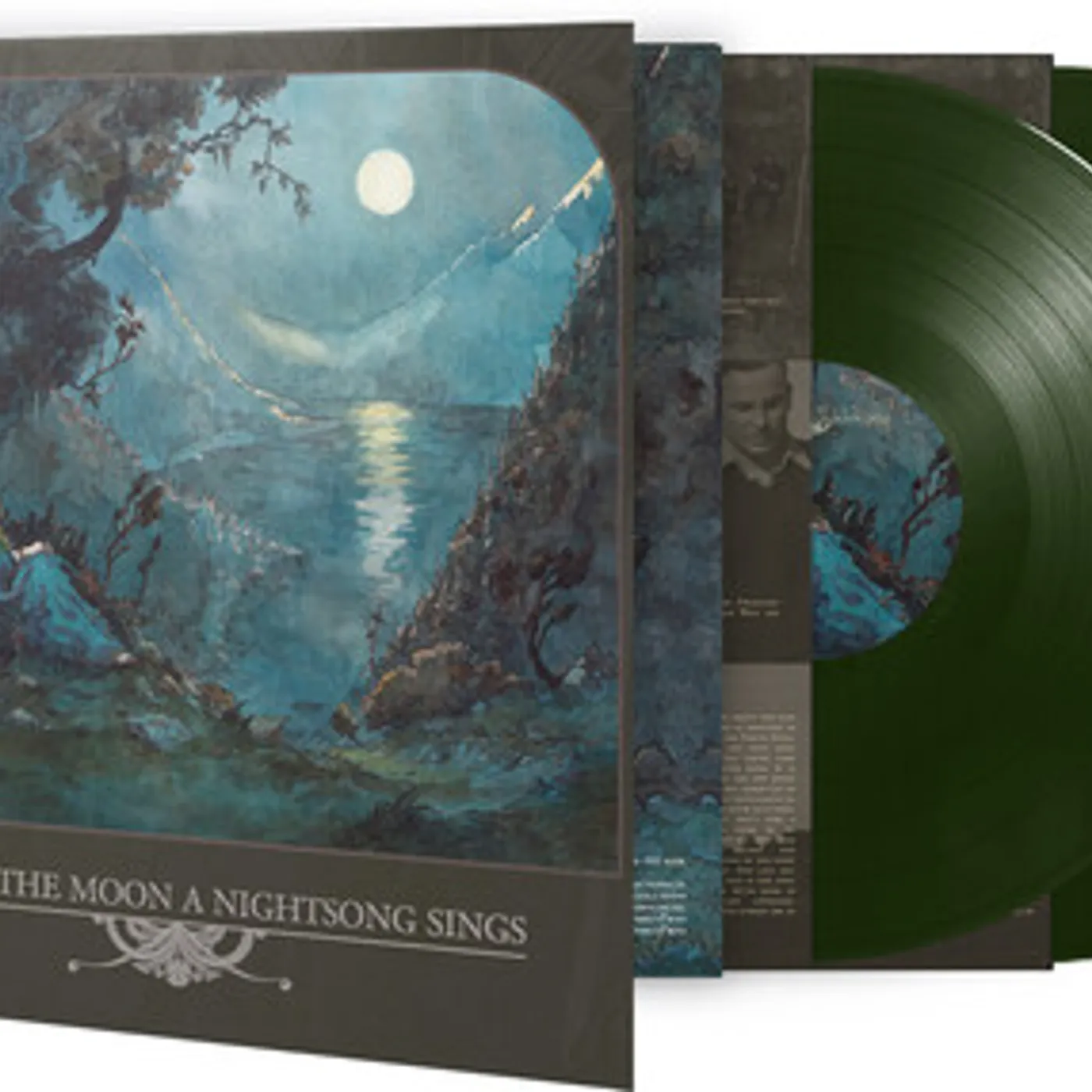 WHOM THE MOON A NIGHTSONG SINGS / VARIOUS Vinyl Record
