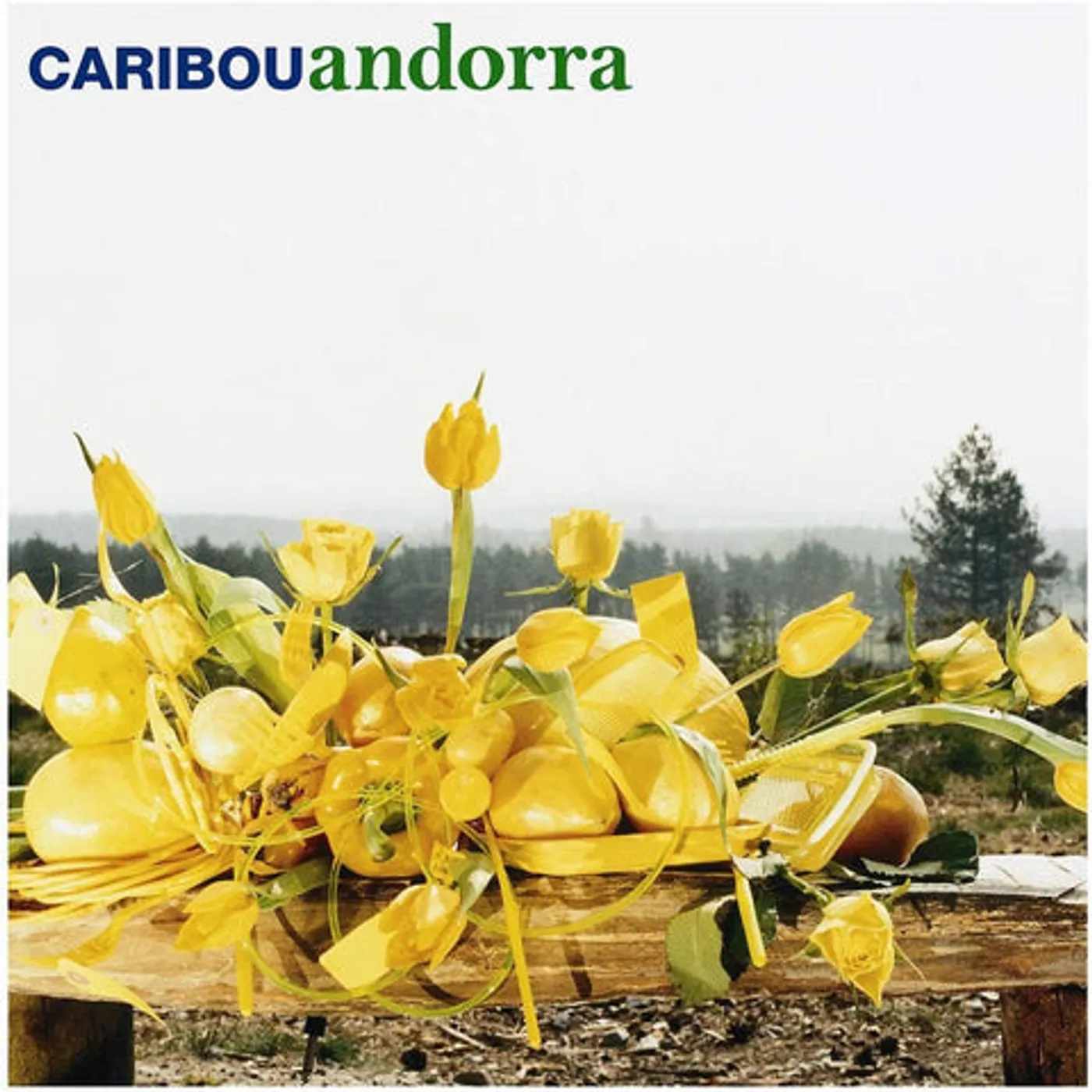 Caribou Andorra: 15th Anniversary vinyl record