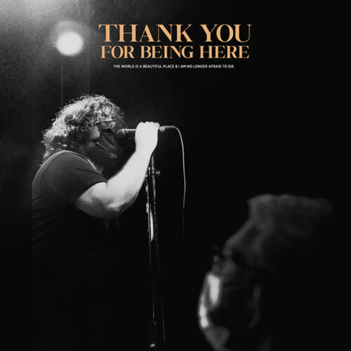 World Is A Beautiful Place & I Am No Longer Afriad THANK YOU FOR BEING HERE (LIVE) Vinyl Record
