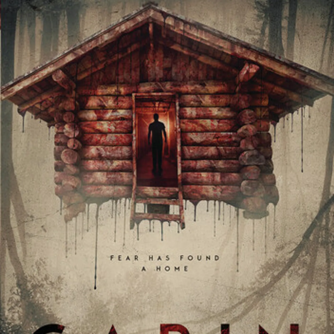 CABIN DVD