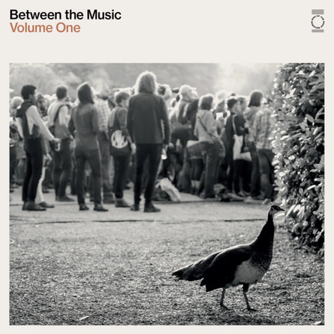 END OF THE ROAD PRESENTS: BETWEEN THE MUSIC / VAR Vinyl Record