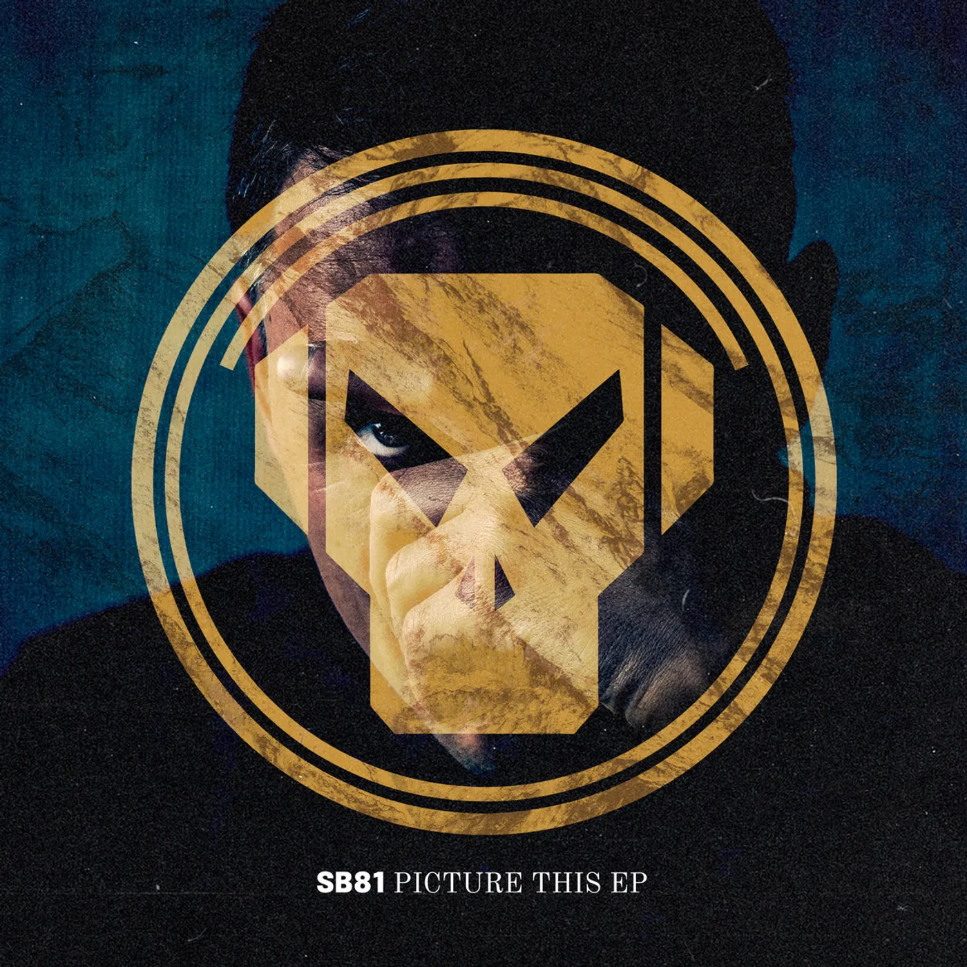 SB81 PICTURE THIS Vinyl Record