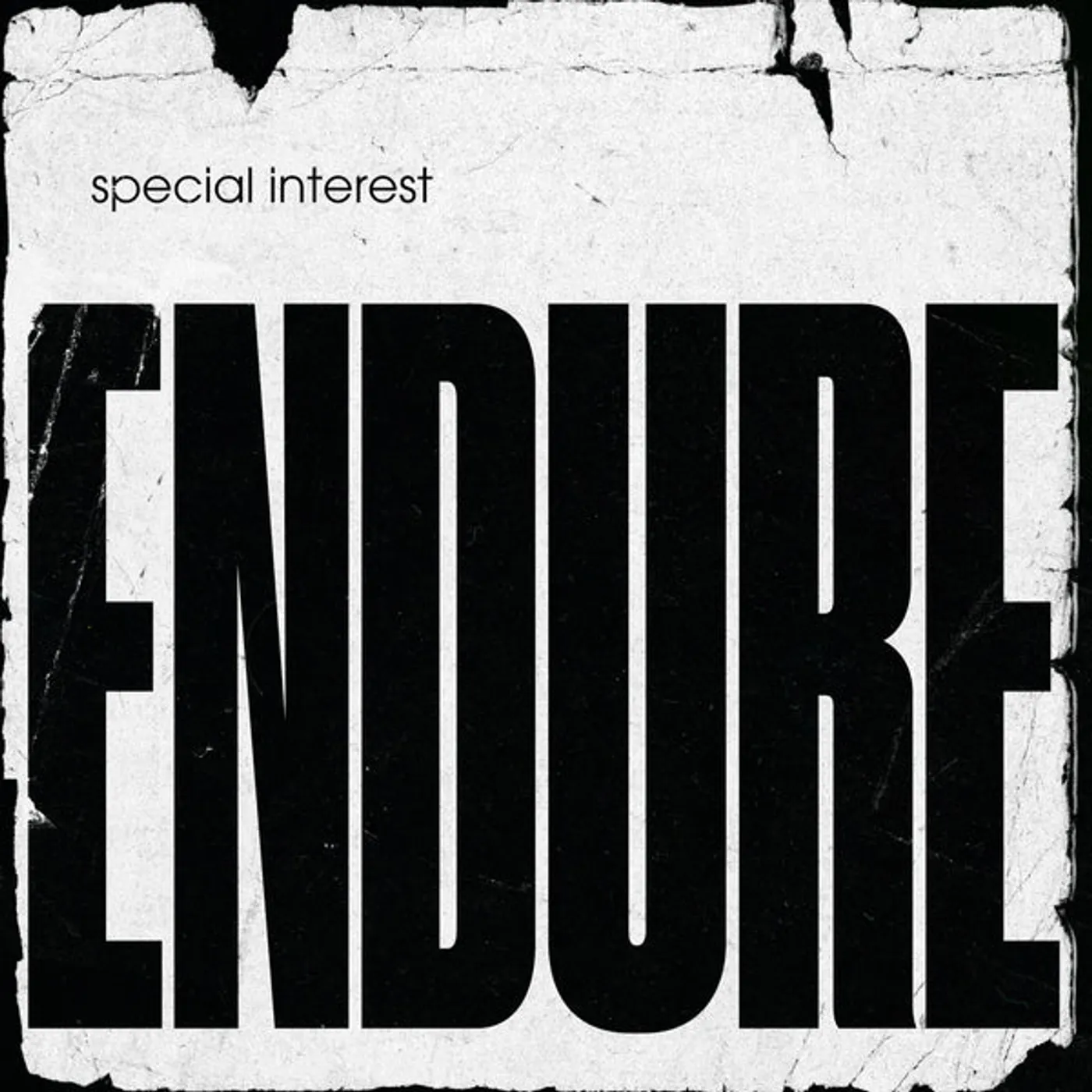Special Interest Endure Vinyl Record