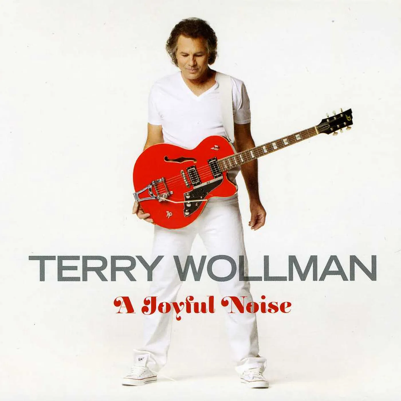 Terry Wollman JOYFUL NOISE CD