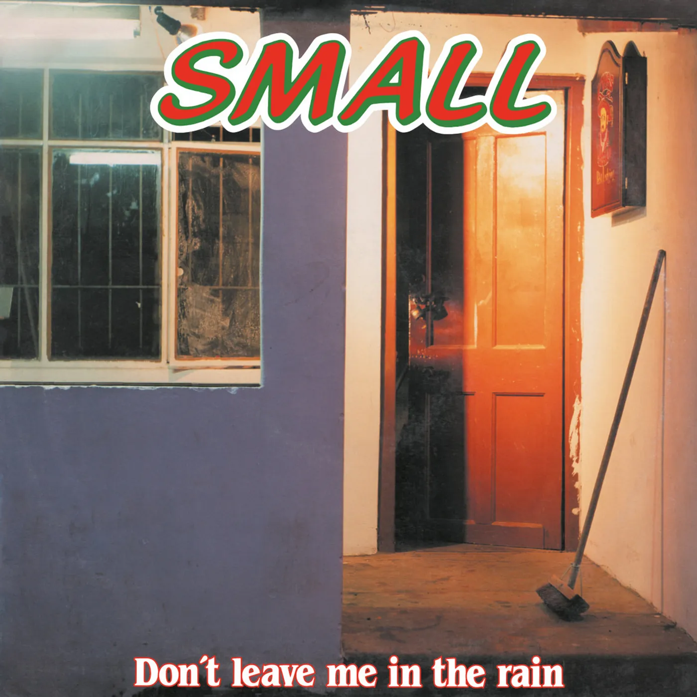Small DON'T LEAVE ME IN THE RAIN Vinyl Record