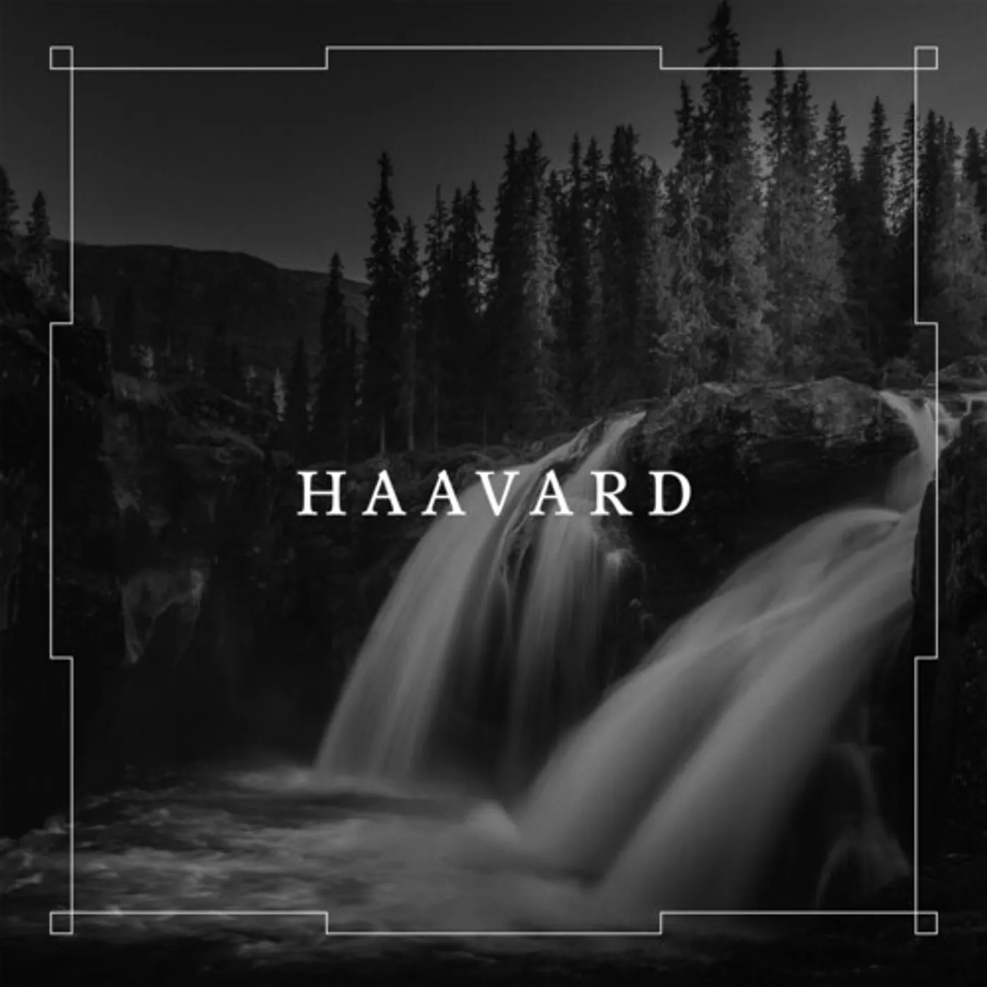 HAAVARD CD