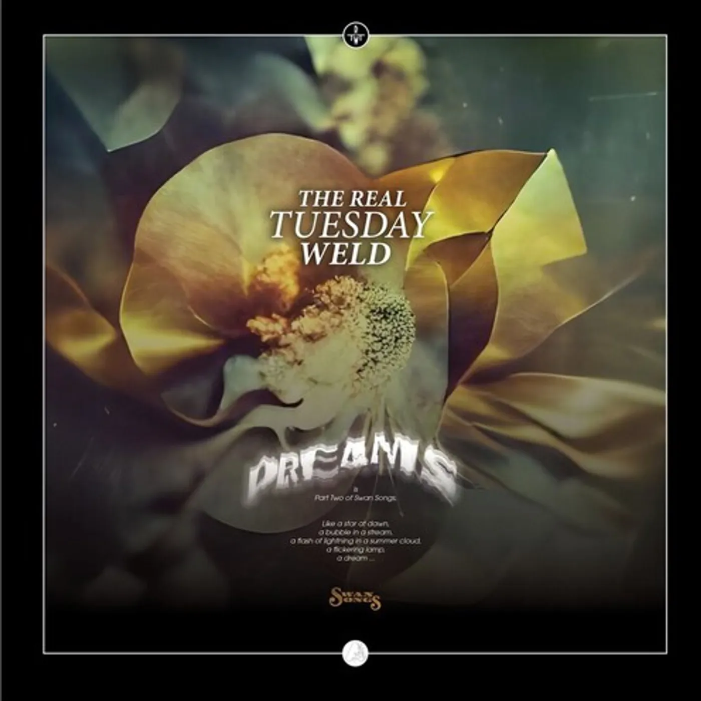 The Real Tuesday Weld Dreams Vinyl Record