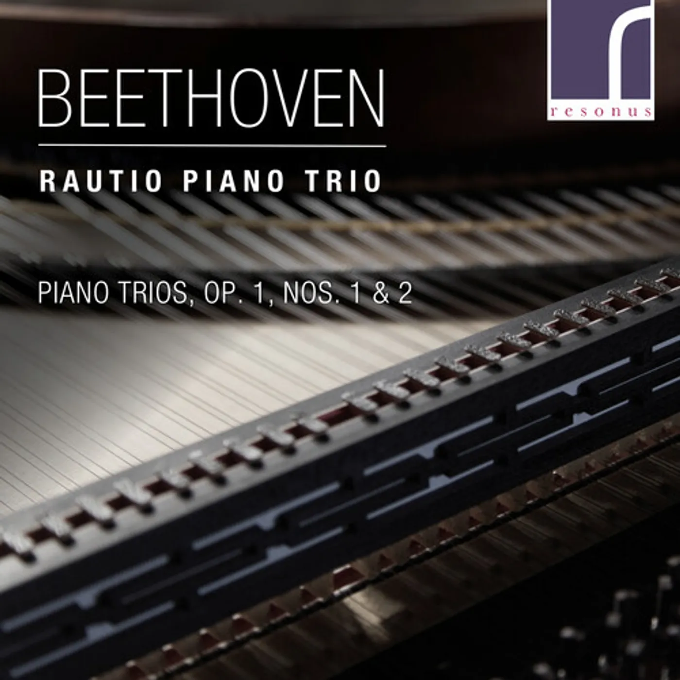 Beethoven / Rautio Piano Trio PIANO TRIOS 1 1 & 2 CD
