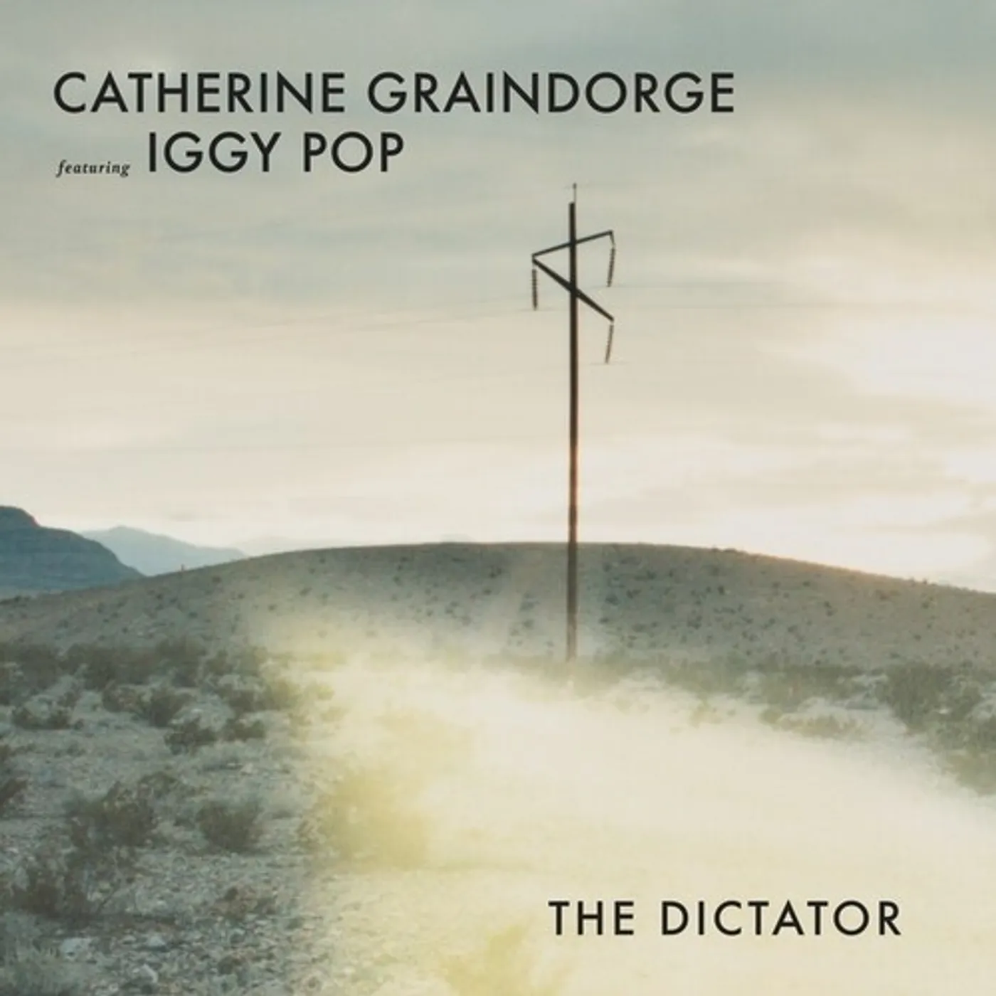 Catherine Graindorge / Iggy Pop DICTATOR Vinyl Record