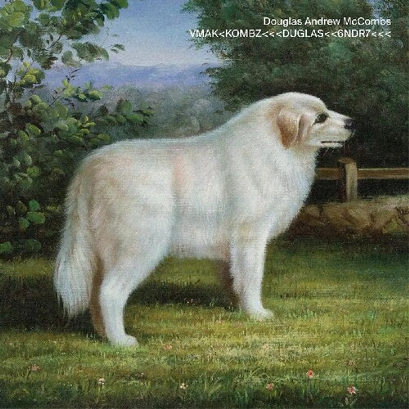 Douglas McCombs VMAK KOMBZ DUGLAS 6NDR7 CD