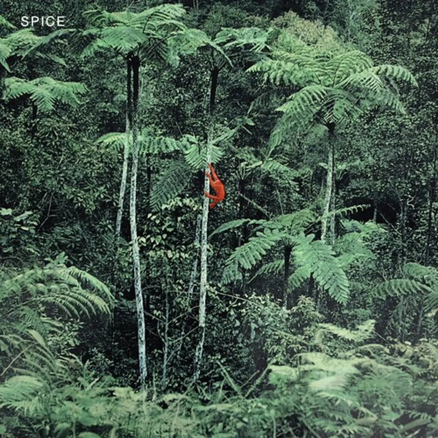 SPICE - GREY Vinyl Record